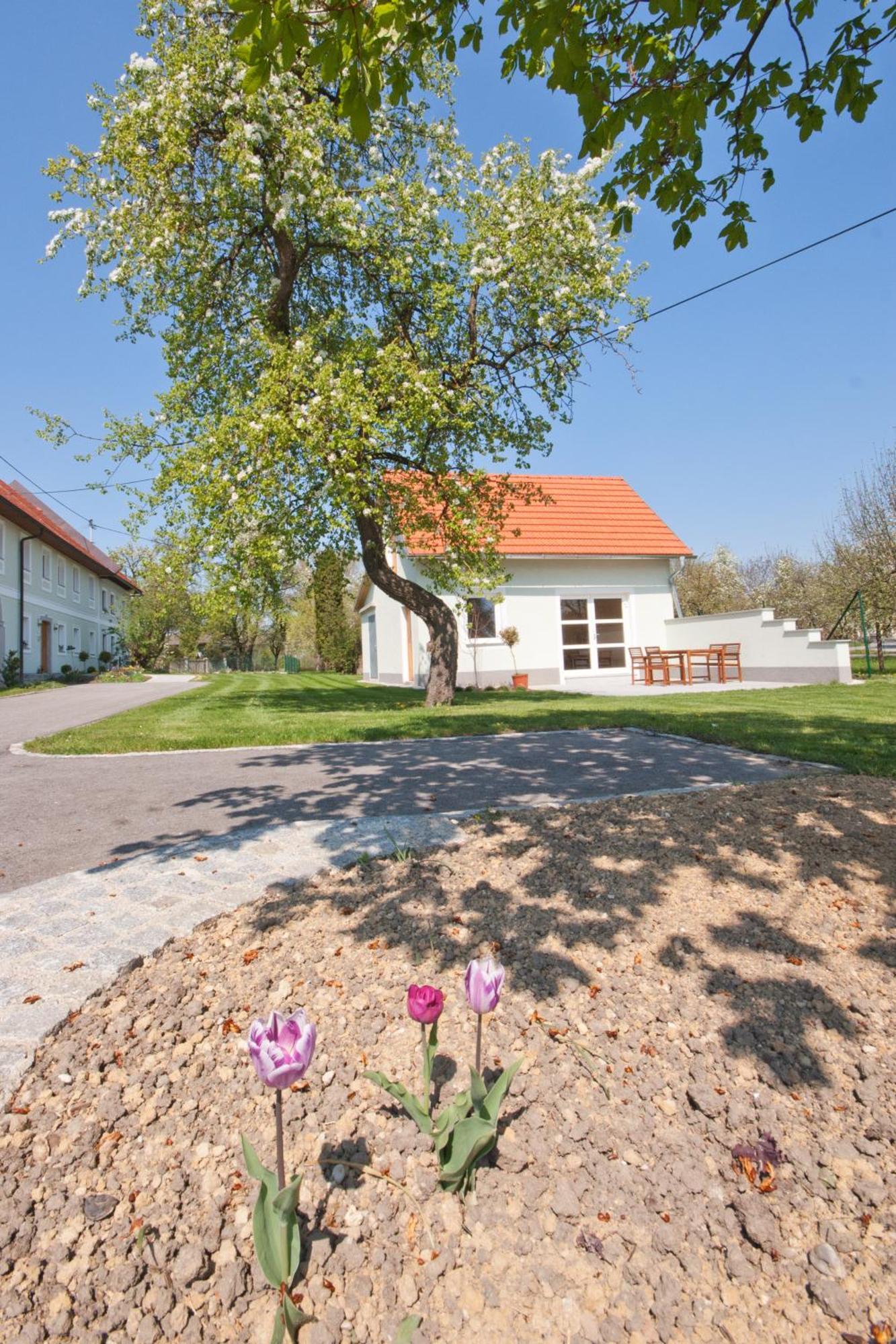 Landhaus Essl Dietach Esterno foto