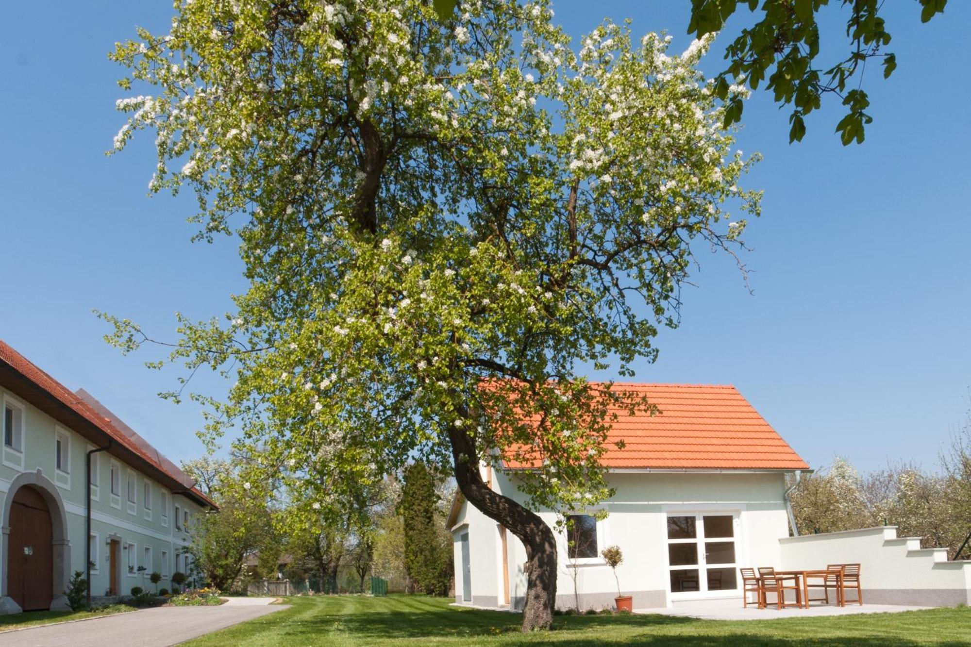 Landhaus Essl Dietach Esterno foto